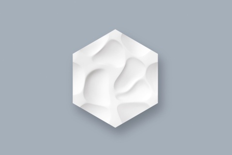 Panel ścienny 3D CORAL ARSTYL® – organiczna elegancja w nowoczesnym wnętrzu